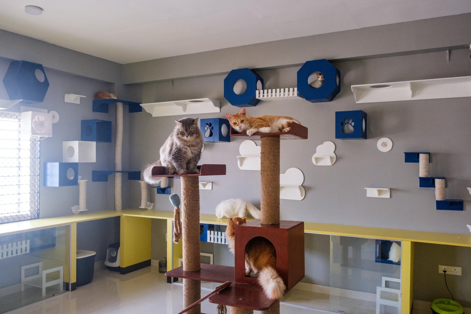 Play Area